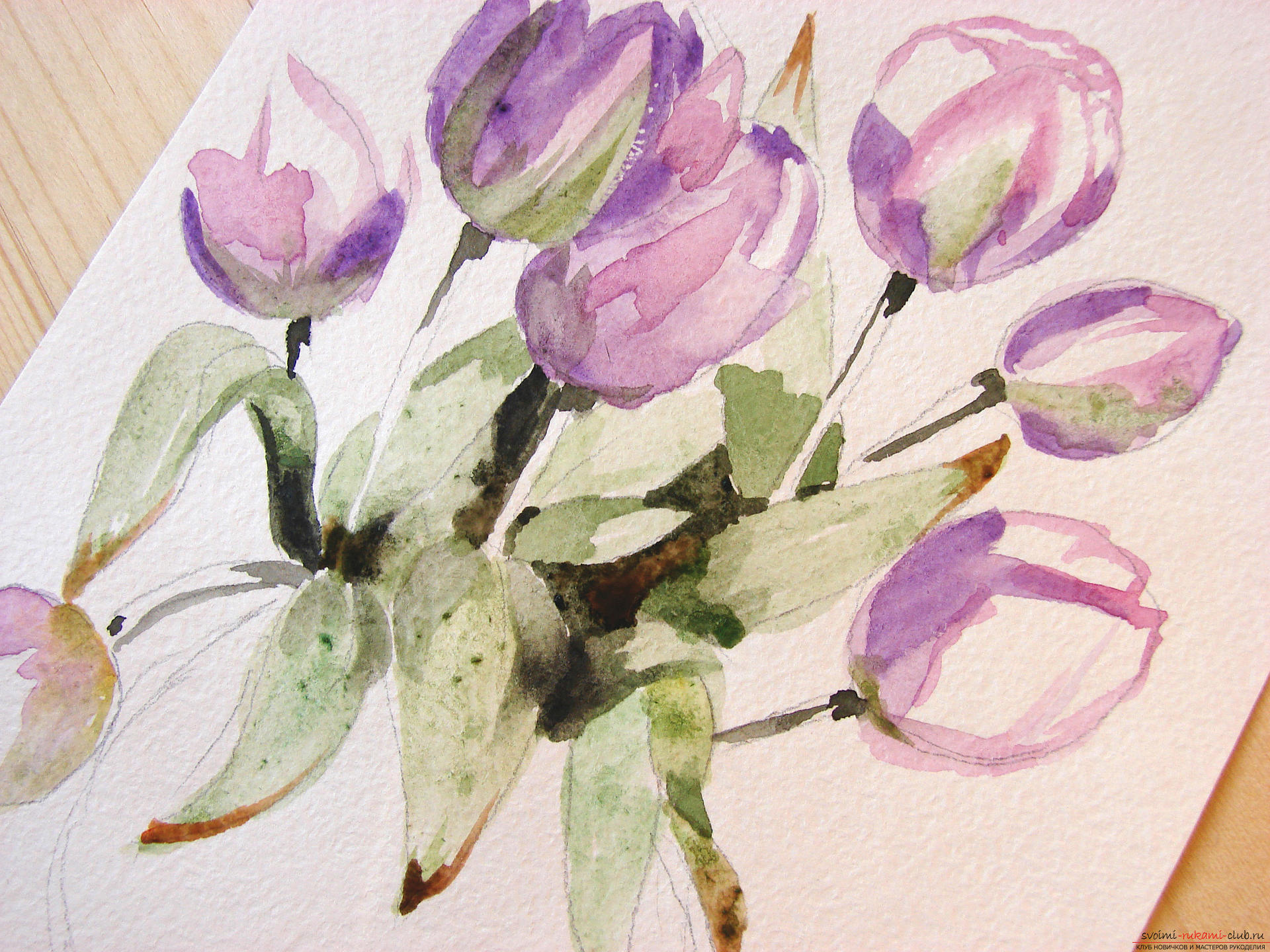 Мастер-класс по рисованию с фото научит как нарисовать цветы, подробно описав как рисуются тюльпаны поэтапно.. Фото №10